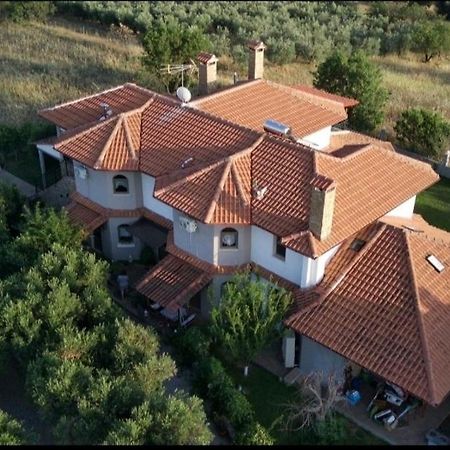 Alice Wonderland Home Nea Flogita Halkidiki Εξωτερικό φωτογραφία