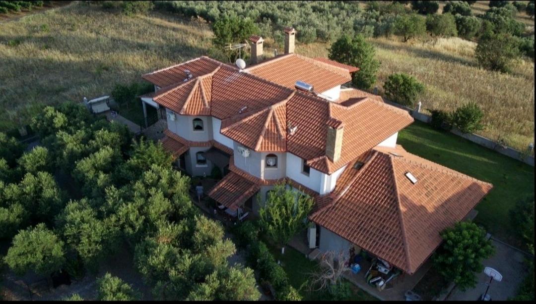 Alice Wonderland Home Nea Flogita Halkidiki Εξωτερικό φωτογραφία