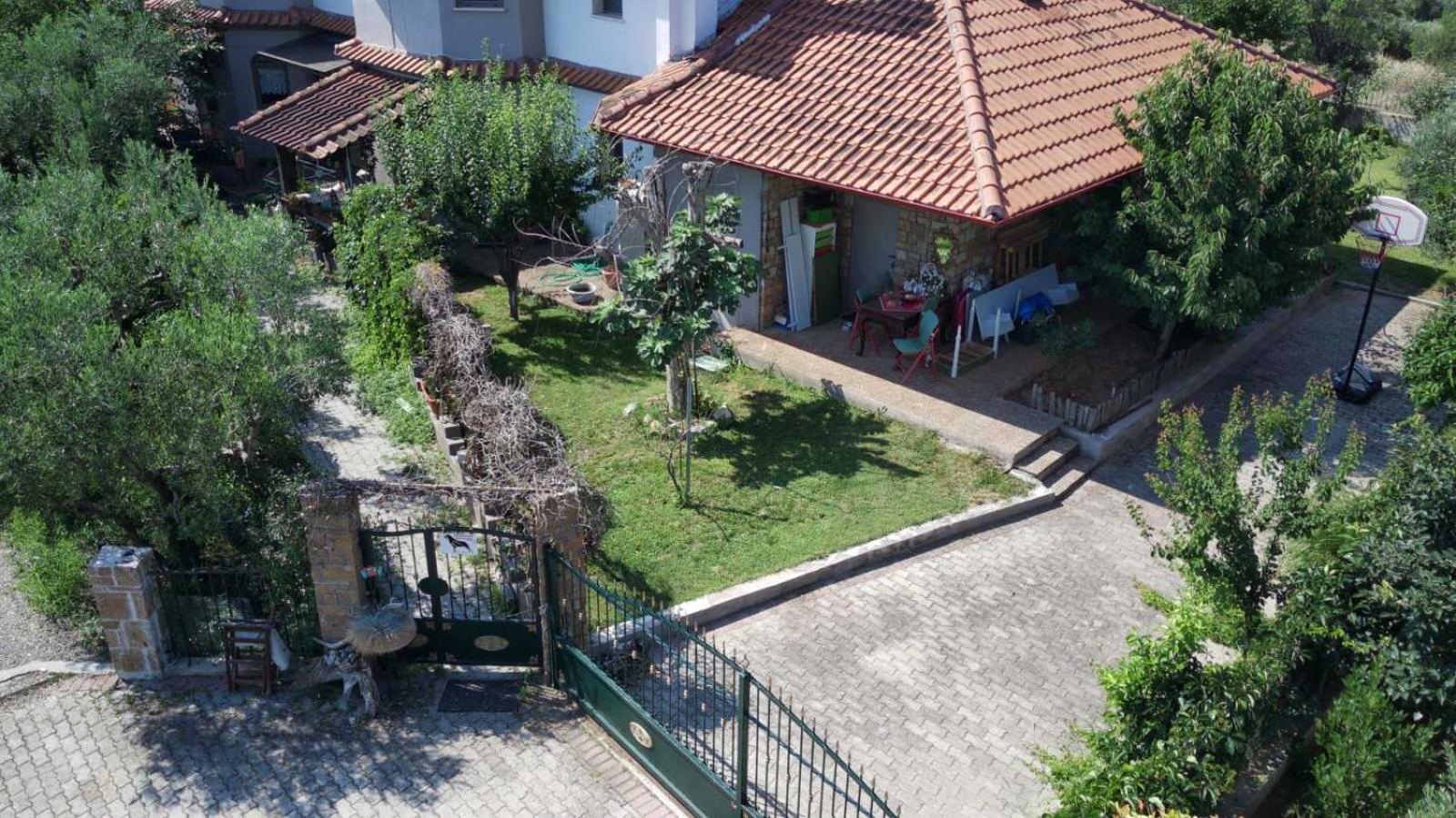 Alice Wonderland Home Nea Flogita Halkidiki Εξωτερικό φωτογραφία