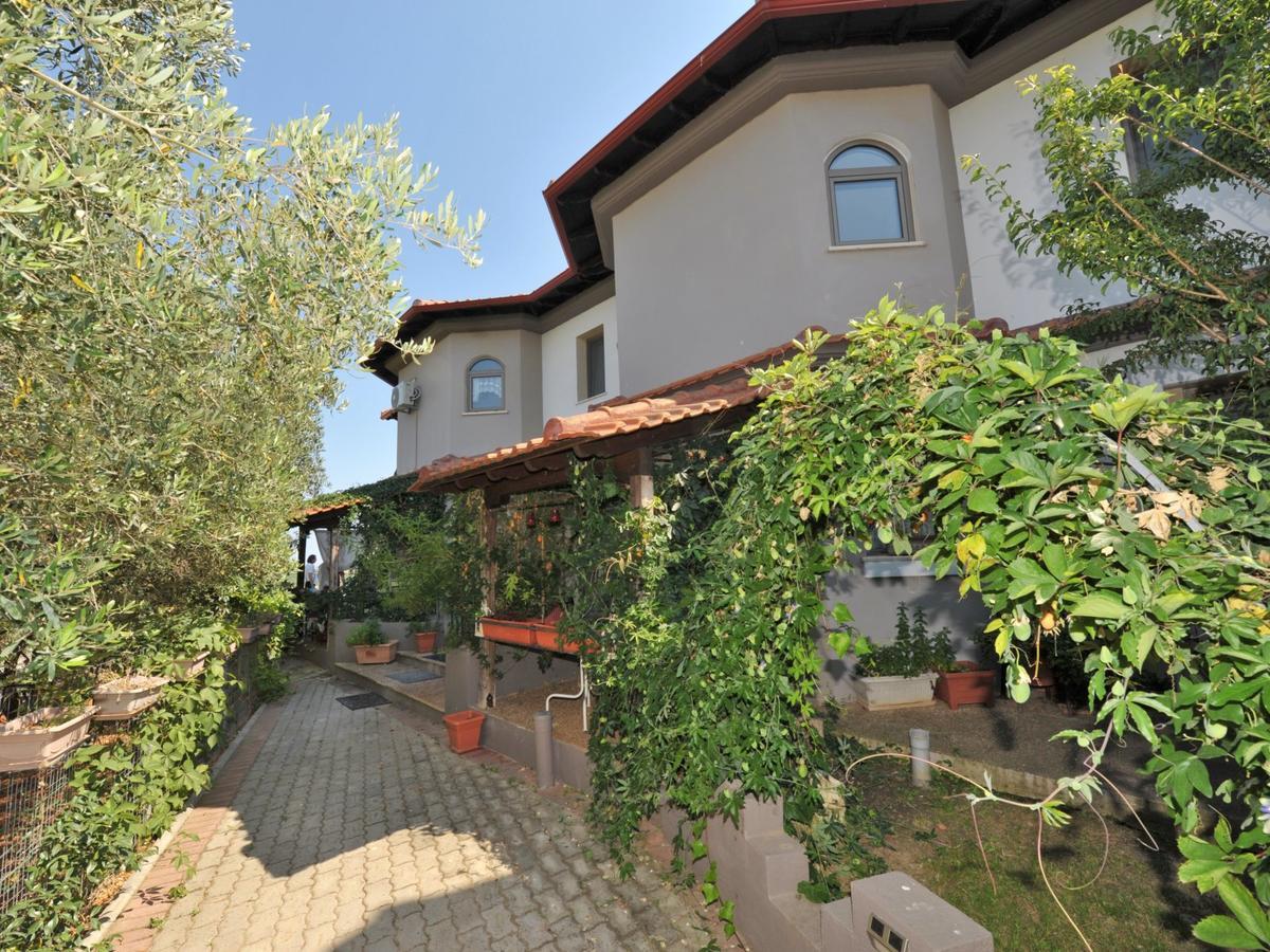 Alice Wonderland Home Nea Flogita Halkidiki Εξωτερικό φωτογραφία