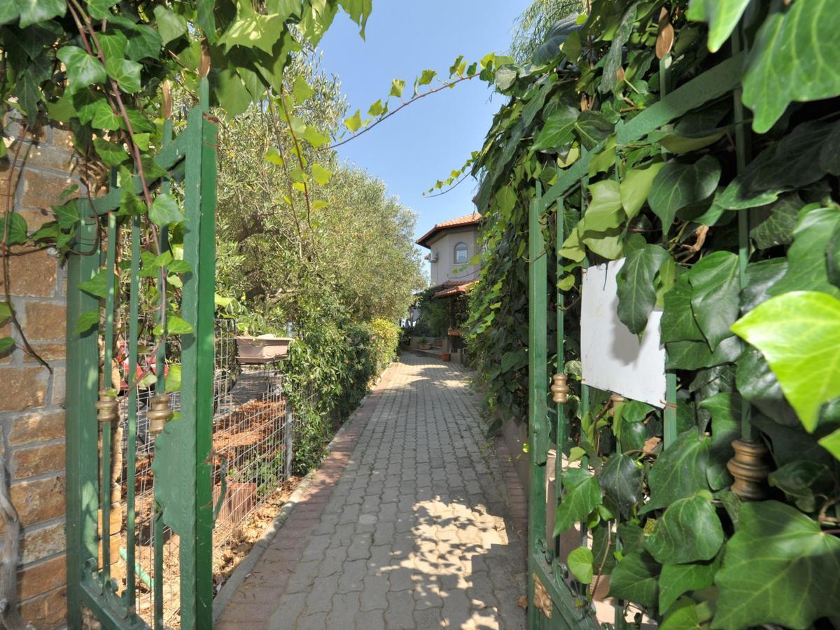 Alice Wonderland Home Nea Flogita Halkidiki Εξωτερικό φωτογραφία
